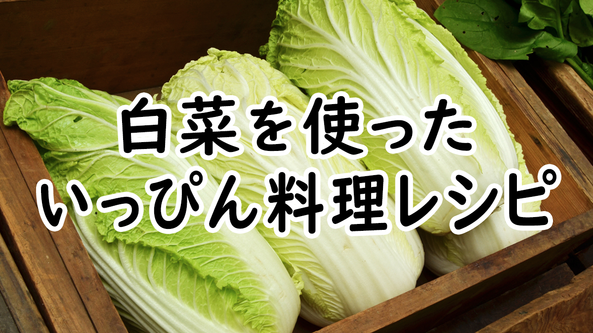 【いっぴん料理】白菜を使った料理レシピ