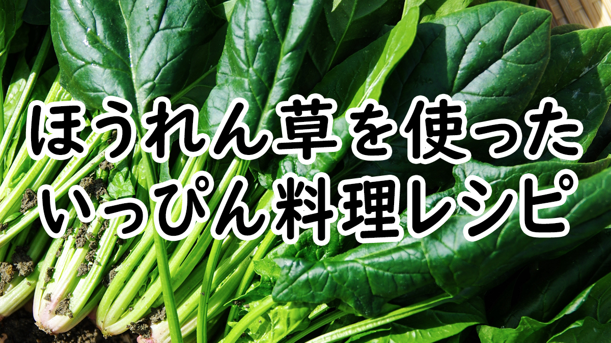 【いっぴん料理】ほうれん草を使った料理レシピ